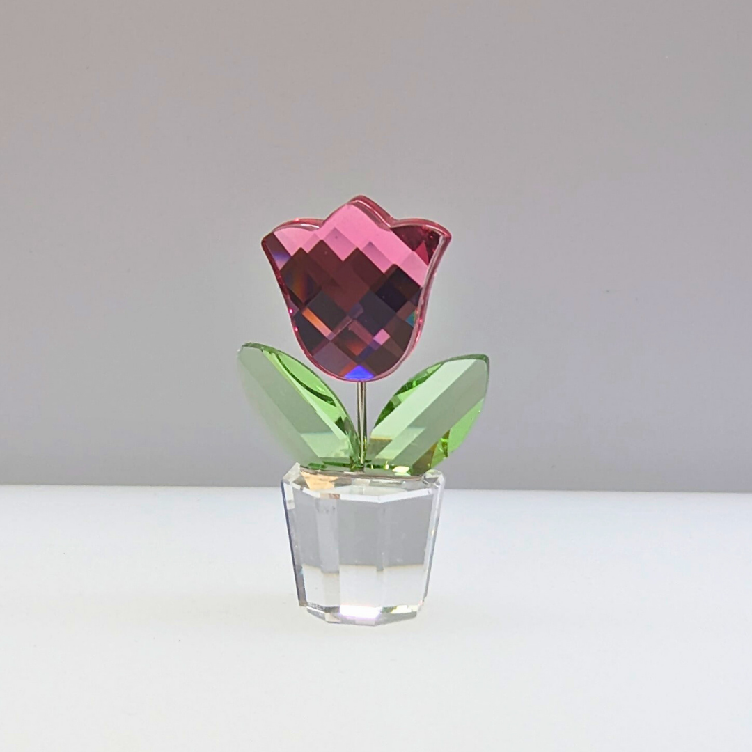 657111 Swarovski - Pink Tulip | HOFFMAN'S Limited Edition