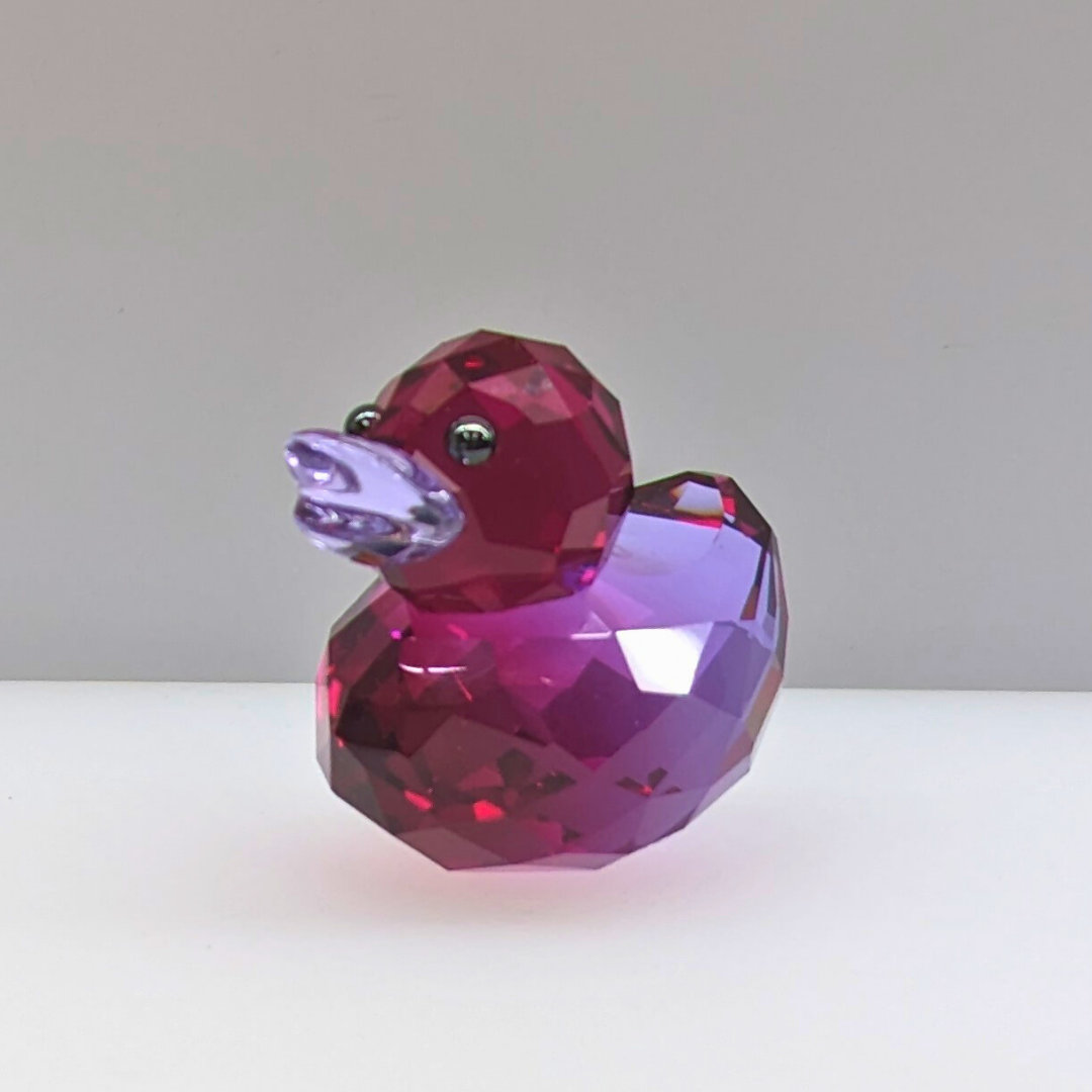 1041292 Swarovski - Loveable Lila Small Duck | HOFFMAN'S Limited ...